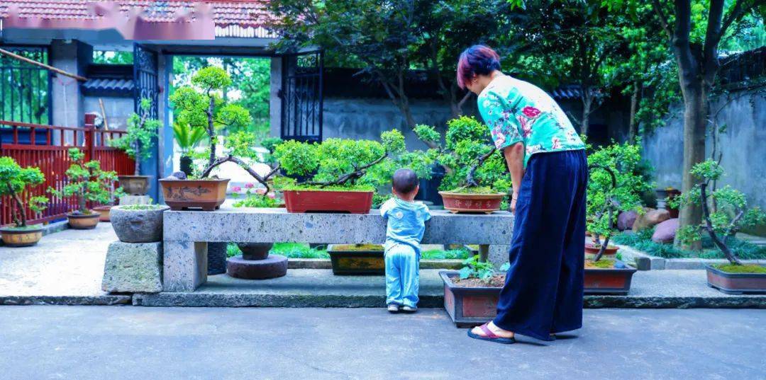 上虞区妇联下好绿币“先手棋” , 打好美丽庭院“主动仗”