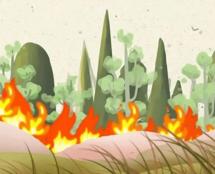 森林防火正当时,防火指南要牢记!