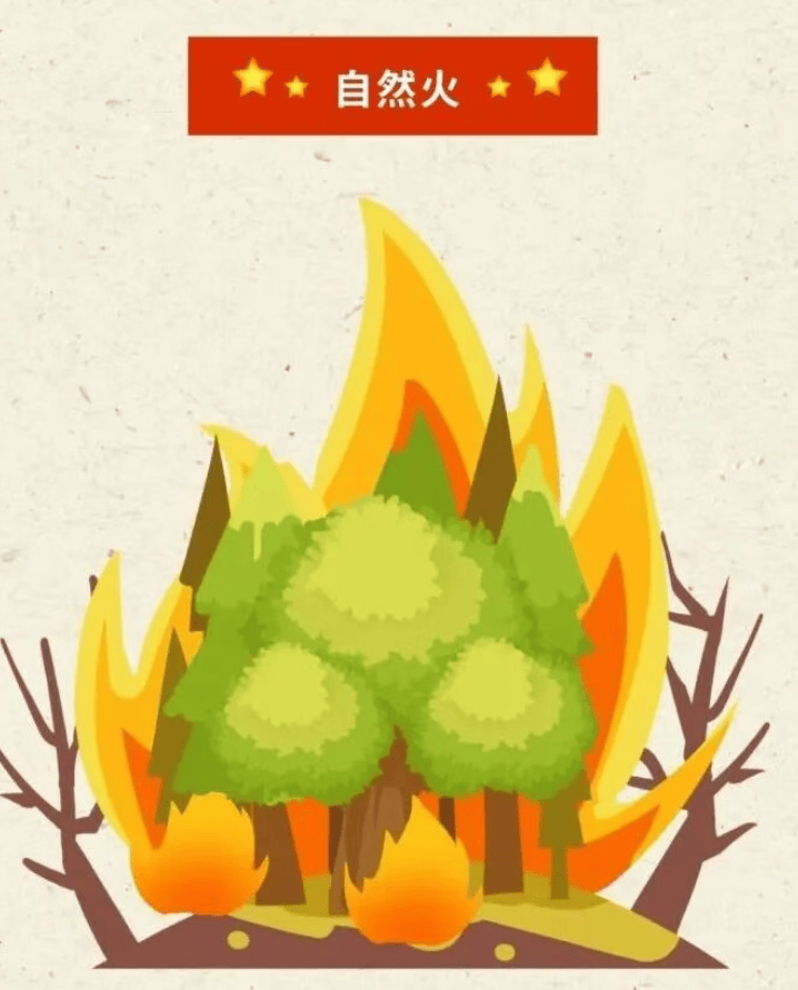 森林防火正当时,防火指南要牢记!