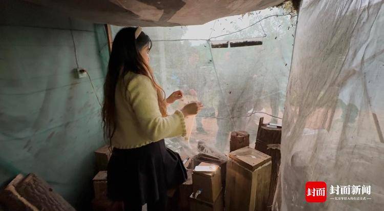 央视曝光“杀人蜂”滥养牟利引关注 四川犍为：正联合调查虎头蜂养殖情况