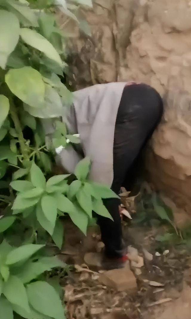 陕西一女子疑因拍亲姑姑偷玉米遭姑父棍杀，邻居欲报警也遇害