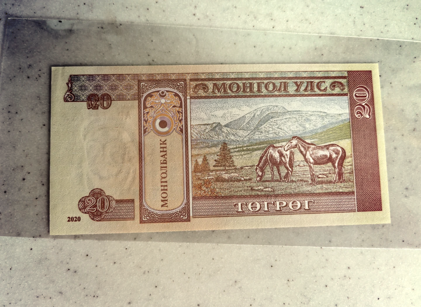 蒙古货币叫什么(蒙古货币叫什么名字)